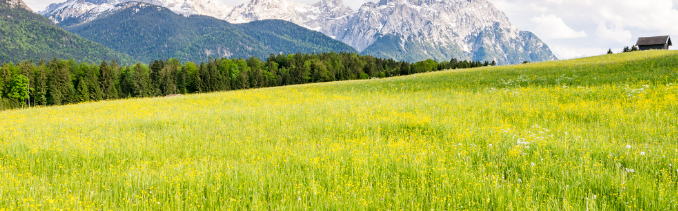 hydrogen sulphide analyser